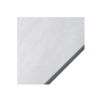 Legion H26-MAS2131WH10 Masa 21" x 31" 77g, White; Machine made in Japan of 100% sulphite, neutral pH, no deckles; Smooth on one side, lightly textured on the other; Masa is versatile and very reasonably priced; A strong paper with even formation; 10-Packs; Shipping Weight 2.00 lbs; Shipping Dimensions 31.00 x 21.00 x 1.00 inches; UPC 645248432758 (H26MAS2131WH10 LEGION-H26-MAS2131WH10 PAINTING) 