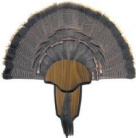 Hunters Specialties 00849 Turkey Tail & Beard Mount Kit; Mount the trophy yourself, save money and get it up on the wall faster; Kit includes wood grain mounting plaque, hardware, brass nameplate and easy instructions; UPC 021291008490 (HUNTERS00849 00-849 00 849) 