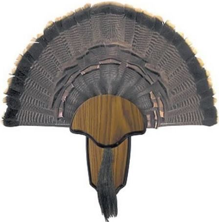 Hunters Specialties 00849 Turkey Tail & Beard Mount Kit; Mount the trophy yourself, save money and get it up on the wall faster; Kit includes wood grain mounting plaque, hardware, brass nameplate and easy instructions; UPC 021291008490 (HUNTERS00849 00-849 00 849)