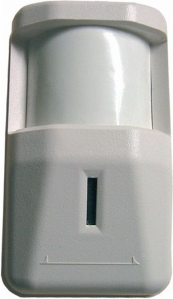 IC Realtime ICR-PIR Color PIR Camera with Microphone, 1/3