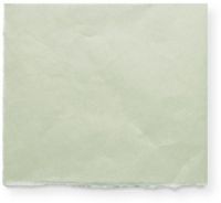 Legion J51-KIT1620GR10 Kitakata 16" x 20" 30g, Light Green; Hand made in Japan of 100% Philippine Gampi, neutral pH, 4 natural deckles; This paper has a delicate and subtle laid pattern in a light green color; 10 Pack; UPC 645248432796 (J51-KIT1620GR10 J51KIT1620GR10 LEGIONJ51-KIT1620GR10 J51-KIT1620GR10LEGION KITAKANAJ51-KIT1620GR10 J51-KIT1620GR10KITAKANA) 