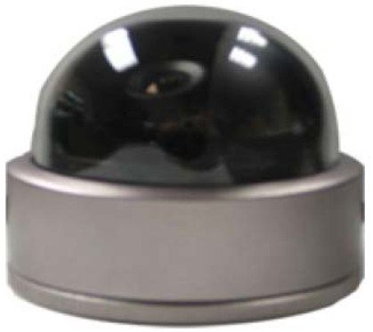 NetZeye JDM401 Vandal Proof Camera, Color camera with Sharp 1/4