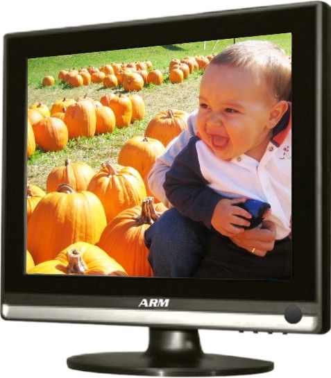 ARM Electronics LCD1500VG Value Grade LCD Monitor, 15