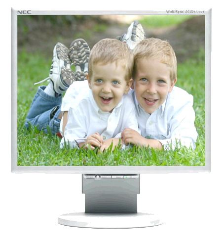Nec LCD1770VX MultiSync LCD Monitor, Display Panel: 17