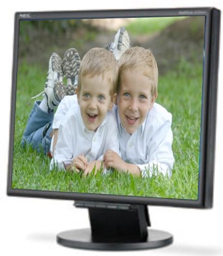 NEC LCD195VX-BK Multisync LCD195VX 19