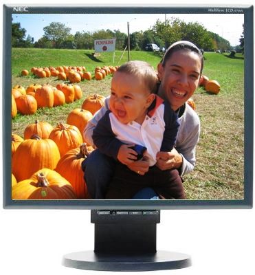NEC LCD1970NX-BK-1 MultiSync 19-Inch LCD Monitor, Resolution 1280x1024 @ 60-75 Hz, Brightness 250 cd/m2, Contrast Ratio 33.3340277777778, Display Colors More than 16 million, DVI-D and VGA 15 pin D-sub, Replaced LCD1970NX-BK LCD1970NXBK (LCD1970NXBK1 LCD1970NX LCD1970)