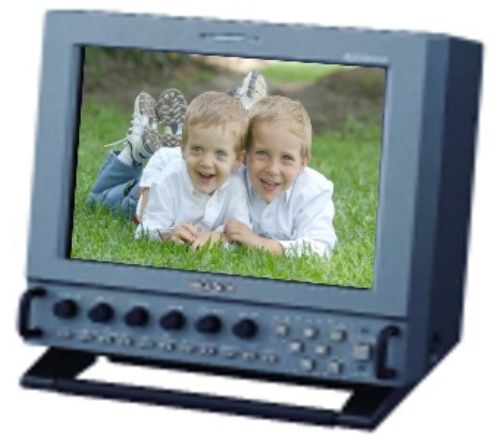 Sony LMD9050 LCD Professional Video Monitor, 9-Inch, 1024x768 (XGA), 4:3/16:9 Aspect Ration, 5 Gamma Selection, 7 language on-screen menu, 3 mode power system, Monoaural Speaker (LMD9050 LMD-9050 LM-D9050 LMD9-050)