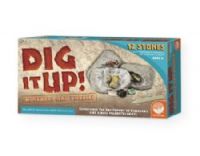 Mindware MW13764603 Dig it Up, Minerals and Fossils; Set includes one dozen individually wrapped clay stones or eggs, each with a chiseling tool and instructions (MW13764603 MINDWARE-13764603 MINDWAREMW-13764603 SCIENCE MINDWARE MW-13764603)  