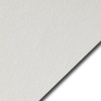 Legion P05-LEN2640WH10 Lenox 100, 26" x 40", 250g, White; 10 sheets per pack; Machine made in the USA of 100 percent cotton, neutral pH, no deckles; This fine art papaer has a textured finish and is ideal for silkscreening, offset lithography, etching, embossing, pastel, charcoal and pencil; UPC 645248432963 (LEGIONP05LEN2640WH10 LEGION P05LEN2640WH10 P05 LEN2640WH10 P05-LEN2640WH10) 