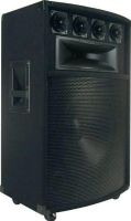 Pyle PADH1589 Six-Way Speaker Cabinet 15", Frequency Response: 35-20kHz (PADH-1589 PADH 1589) 