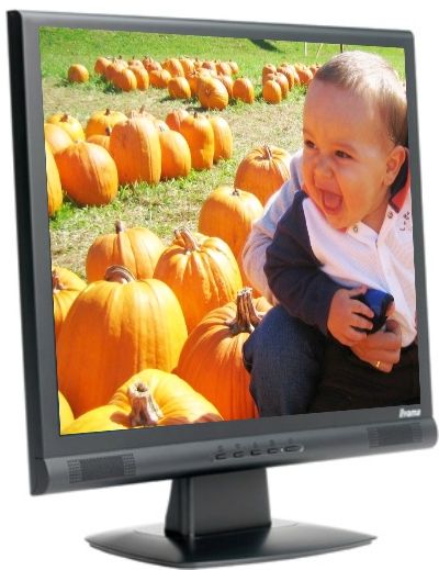 iiyama PLH481S-B ProLite H481S-B LCD Monitor, 19
