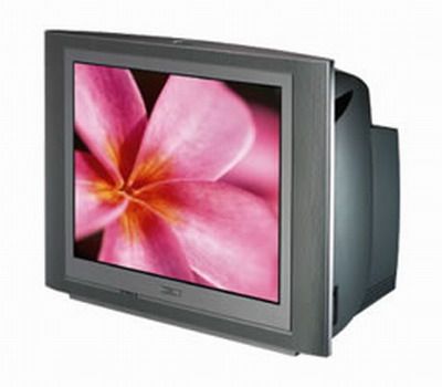 Philips  PRF227S  27 Commercial Flat Screen TV with Smart Plug™, Side and Back A/V Jacks, S-Video and Composite Video, Component Vide Inputs, and Switchable Video Output (PRF-227S, PR-F227S, PRF227, PRF227-S)