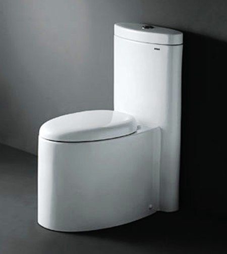 Royal SSWW 1001 Regency Contemporary European Toilet with Dual Flush, Elongated Bowl Type, 12-Inch Trap distance, Center push button flush for easy install, High Quality Polish Resist Staines Finish, Fully Glazed Inner Part Exhaust Pipe, 6L/3L (alternative volume) Flushing Volume, One Piece Construction, Dimensions 28.6 x 17.4 x 34.9 (ROYAL1001 ROYAL-1001)