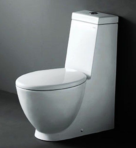 Royal SSWW 1007 Sorrento Contemporary European Toilet with Dual Flush, Elongated Bowl Type, 12-Inch Trap distance, Center push button flush for easy install, High Quality Polish Resist Staines Finish, Fully Glazed Inner Part Exhaust Pipe, 6L/3L (alternative volume) Flushing Volume, One Piece/S-trap Construction (ROYAL1007 ROYAL-1007)