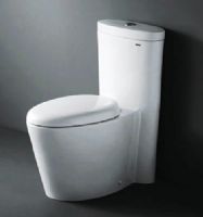 Royal SSWW 1009 Monterey Contemporary European Toilet with Dual Flush, Elongated Bowl Type, 12-Inch Trap distance, Center push button flush for easy install, High Quality Polish Resist Staines Finish, Fully Glazed Inner Part Exhaust Pipe, 6L/3L (alternative volume) Flushing Volume, One Piece/S-trap Construction (ROYAL1009 ROYAL-1009)