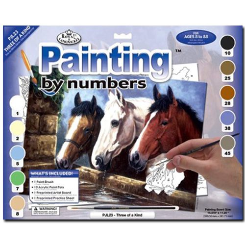 Royal And Langnickel PJL23 Painting by Numbers, 11.25