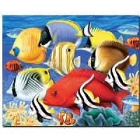 Royal And Langnickel PJL30 Painting by Numbers, 11.25" x 15.38", Junior Large Set Tropical Fish; A wide range of junior level designs on a larger scale; Teaches the benefits of color mixing and enhances your painting techniques; Each set includes 10 acrylic paints, 1 quality taklon brush, painting board with preprinted design lines, and easy-to-follow instructions; UPC 090672068507 (ROYALANDLANGNICKELPJL30 ROYAL AND LANGNICKEL PJL30 ALVIN PAINTING NUMBERS TROPICAL FISH) 
