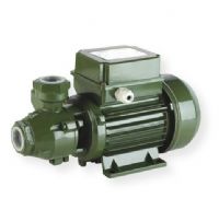 Saer 12025109 Model KF-4 Peripheral Pump with 1 HP, 1 PH, 115V, 60 HZ, NPT Tread, 216 Feet Head, 1 Input and Out Put, and Brass Impeller, Green; Peripheral type impeller; Radial paddles which give more energy to the pumped liquid; Wide range of applications like general water supply, pressurized water, garden watering; Totally enclosed fan cooled motor (TEFC); UPC 680051603315 (12025109 SAER12025109 KF4 KF-4 KF4SAER SAER-KF4 KF4-PUMP KF-4-PUMP)  