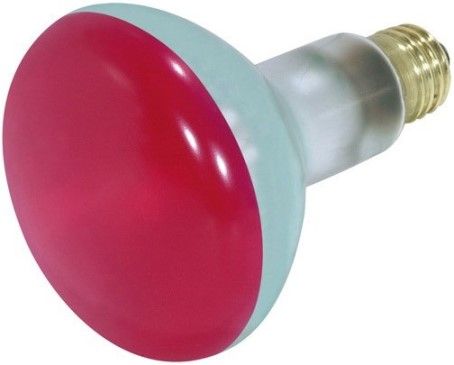 Satco S3240 Model 75BR30/R Incandescent Light Bulb, Red Finish, 75 Watts, BR30 Lamp Shape, Medium Base, E26 Base, 130 Voltage, 5 3/8'' MOL, 3.75'' MOD, C-9 Filament, 2000 Average Rated Hours, General Service Reflector, Household or Commercial use, Long Life, Brass Base, RoHS Compliant, UPC 045923032400 (SATCOS3240 SATCO-S3240 S-3240)