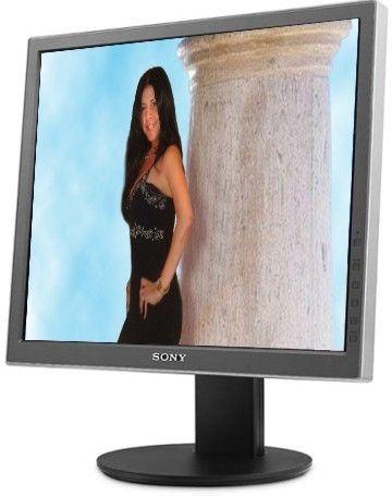 Sony SDM-X95FS 19 DeluxePro Flat Panel LCD Display - Silver (SDMX95FS, SDM X95FS,SDM-X95, X95FS, 27242677708)