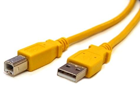 Bytecc USB2-AB-6Y USB 2.0 CABLE - A Male to Type B Male, 6 ft, Hi-speed data transfer up to 480Mbps from PC or Mac to printer, USB printer cable is 10' or 6' long, A-B cable, Yellow Color (USB2-AB-6Y USB2 AB 6Y USB2AB6Y USB2-AB USB2 AB USB2AB)