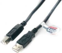 StarTech USB2HAB10 High Speed Certified USB 2.0 Cable, 10 ft (3.05 m) Length, USB A Male, USB B Male Connectors, Use with any USB 2.0 rated device or add-on card, Compatible with USB1.1 devices (USB-2HAB10 USB 2HAB10 USB2-HAB10) 