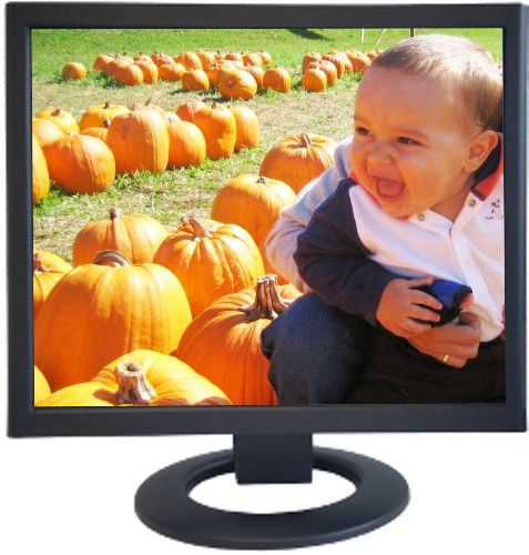 ViewEra V198HB 19-Inch LCD Security Monitor, Black, 1280x1024 Maximum Resolution, Active Area 376.32 x 301.06 mm, 0.294mm Pixel Pitch, 16.2 Million Display Colors, 250 cd/m2 Brightness, 1000:1 Contrast Ratio, 5ms Response Time, 170/160 Viewing Angle, Supports BNC Connector for Security Application and Integrates 2 Speakers of 2 Watts (V198-HB V198 HB)