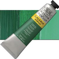 Winsor And Newton 2136482 Galeria, Acrylic Color 200ml Permanent Green Deep; A high quality acrylic which delivers professional results at an affordable price; All colors offer excellent brilliance of color, strong brush stroke retention, clean color mixing, and high permanence; Smooth, free-flowing consistency for ease of use and mixing, while maintaining body and retaining brush marks; UPC 094376940640 (WINSORANDNEWTON2136482 WINSOR AND NEWTON 2136482 200ml ACRYLIC PERMANENT GREEN DEEP) 