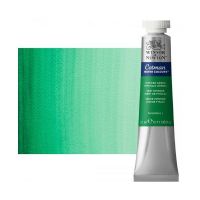 Winsor & Newton 0308329 Cotman, Watercolor Intense Green 21ml; Unrivalled brilliant color due to a revolutionary transparent binder, single, highest quality pigments, and high pigment strength; Genuine cadmiums and cobalts; Cotman watercolors offer optimal transparency with excellent tinting strength and working properties; Dimensions 0.79" x 1.18" x 4.13"; Weight 0.09 lbs; UPC 094376902525 (WINSONNEWTON0308329 WINSONNEWTON-0308329 PAINT)  