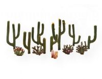 Woodland Scenics TR3600 Cactus Plants .5" - 2.5" 13-Pack; Ready made cactus plants; No assembly required; Simply add texture to any landscape; Not bendable; .5" - 2.5"; 13-pack; Shipping Weight 0.2 lb; Shipping Dimensions 5.25 x 9.75 x 2.75 in; UPC 724771036005 (WOODLANDSCENICSTR3600 WOODLANDSCENICS-TR3600 ARCHITECTURE MODELING) 