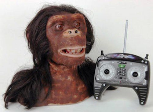 WowWee 9001 Alive Chimpanzee, UPC 771171190011, Lifelike hair and skin, and a startlingly expressive, interactive personality really bring this simian alive, Soulful eyes track movements using infrared 