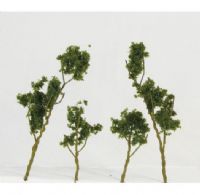 Wee Scapes WS00309 Architectural Model Foliage Tree Medium Green 24-pack; Wire foliage trees are bendable, coated wire trees that are complete with foliage in various natural colors; Create trees, shrubs, bushes, undergrowth and saplings; Other model trees provide already-assembled tree species; UPC 853412003097 (WEESCAPESWS00309 WEESCAPES-WS00309 WEESCAPES/WS00309 ARCHITECTURE MODELING) 