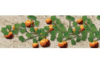 Wee Scapes WS00395 Architectural Model Pumpkins; A collection of carefully crafted faux flowers; Great for adding finishing touches on top of or amongst model hegdes, meadows, fields, grass, etc; Pumpkins on the vine are approximately 1.375"; 2-pack; Shipping Weight 0.01 lb; Shipping Dimensions 5.88 x 0.5 x 5.12 in; UPC 853412003950 (WEESCAPESWS00395 WEESCAPES-WS00395 WEESCAPES/WS00395 ARCHITECTURE MODELING) 